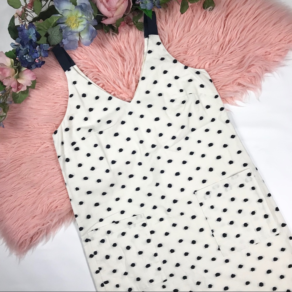 LOFT Polka Dot Shift Dress